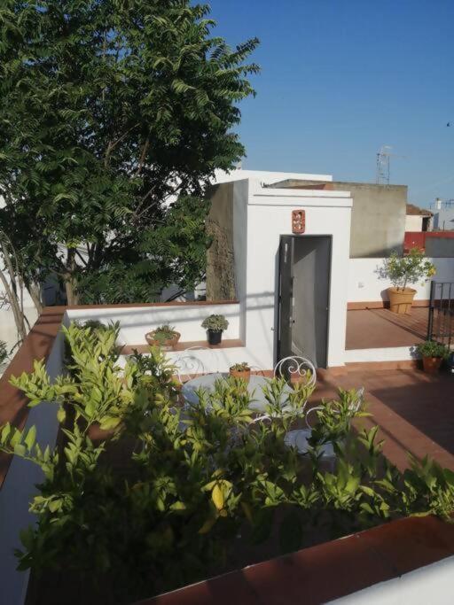 Apartamento El Sosiego Sanlúcar de Barrameda المظهر الخارجي الصورة