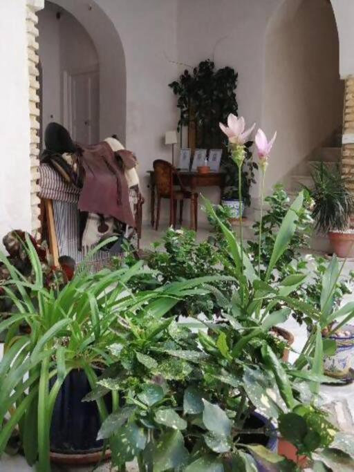 Apartamento El Sosiego Sanlúcar de Barrameda المظهر الخارجي الصورة