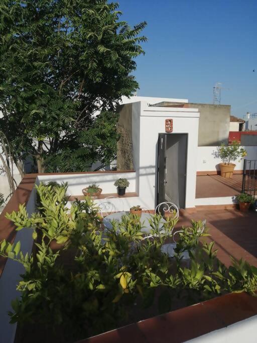Apartamento El Sosiego Sanlúcar de Barrameda المظهر الخارجي الصورة